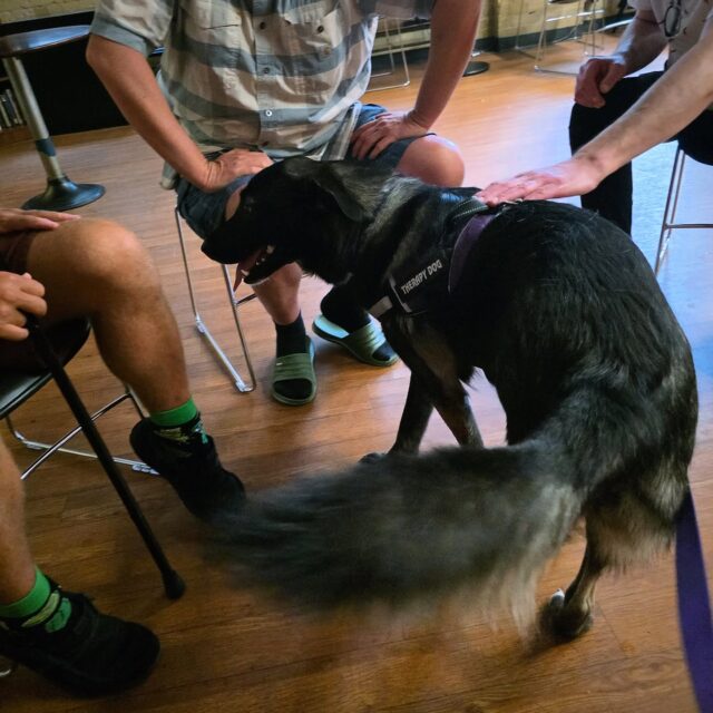 The Gateway has recently partnered with @sunshinetherapydogs and our residents and staff couldn’t be more thrilled to spend time each month with our new canine friends! 🐾